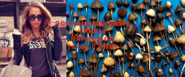 мет Горнозаводск