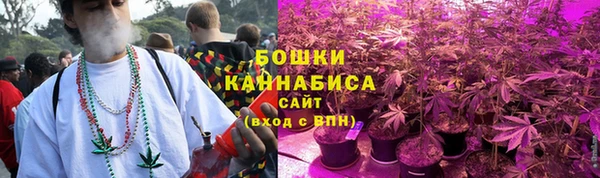 прущие крисы Горно-Алтайск