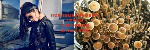 прущие крисы Горно-Алтайск