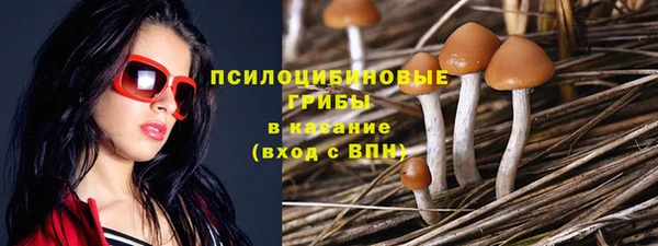 прущие крисы Горно-Алтайск