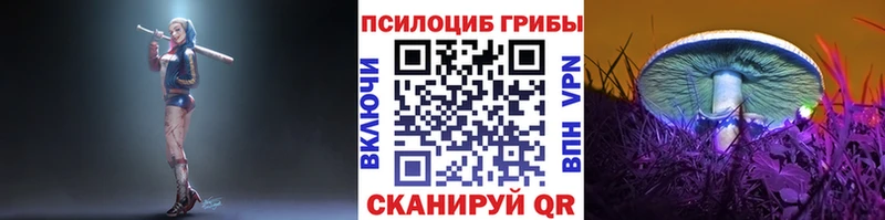Псилоцибиновые грибы прущие грибы  Няндома 